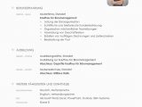 Lebenslauf In Deutsch Lebenslauf Kostenlose Vorlagen & Line Editor