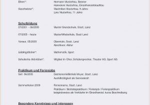 Lebenslauf In Englisch Vorlage Deutsch Lebenslauf Beispiel Muster Download Englisch Doc