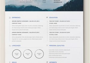 Lebenslauf Indesign Template 10 Best Free Resume Cv Templates In Ai Indesign Word
