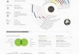 Lebenslauf Kreativ Darstellen Erstellen Eines Infografik Lebenslaufs