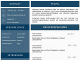 Lebenslauf Kreativ Und Politik Lebenslaufvorlage Cv Saphire Candidate In Deutsch Download