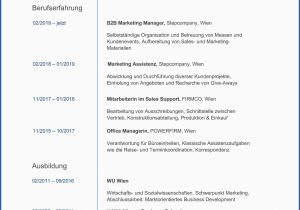 Lebenslauf Marketing Manager Deutsch Der Perfekte Lebenslauf Aufbau Tipps Und Vorlagen