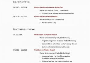 Lebenslauf Marketing Manager Deutsch Lebenslauf Muster Für Führungskraft