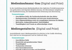 Lebenslauf Mediengestalter Digital Und Print 2