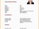 Lebenslauf Mediengestalter Online 30 Lebenslauf Me Ngestalter Line In 2020 with Images
