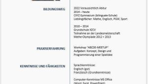 Lebenslauf Mediengestalter Youtube Lebenslauf Vorlagen Für Schüler