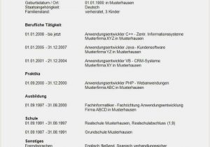 Lebenslauf Schlicht Xyz Tabellarischer Lebenslauf Muster Word In 2020 with Images