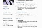 Lebenslauf Schweiz Tipps Kurzprofil Lebenslauf Vorlage Word