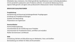 Lebenslauf software Architekt Lebenslauf Vorlage Kompetenzen Mit Berufliche