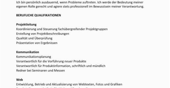 Lebenslauf software Architekt Lebenslauf Vorlage Kompetenzen Mit Berufliche