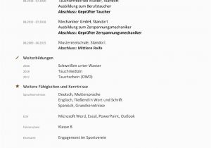 Lebenslauf Sprachen Deutsch Angeben Lebenslauf Kostenlose Vorlagen & Line Editor
