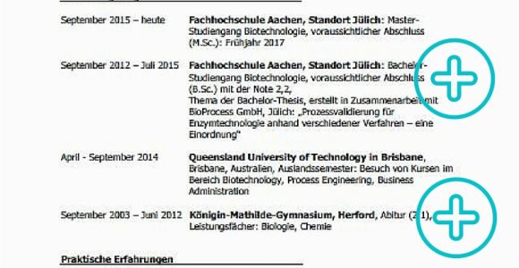 Lebenslauf Studenten Vorlagen Lebenslauf Praktikum Mit Beispielen Tipps