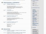 Lebenslauf Vorlage Biz Free Simple Professional Resume Template In Ai format with