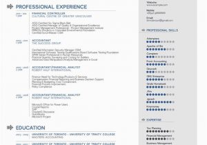 Lebenslauf Vorlage Biz Free Simple Professional Resume Template In Ai format with