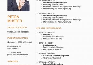 Lebenslauf Vorlage Schweiz Klassisch Lebenslauf Vorlage Klassisch & Modern