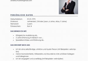 Lebenslauf Vorlage Schweiz Klassisch Lebenslauf Vorlagen & Muster Für Bewerbung In Der Schweiz