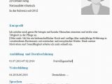 Lebenslauf Vorlage Schweiz Yousty Leitfaden Tibetische Sans Papiers Gemeinschaft Schweiz