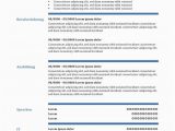 Lebenslauf Vorlage Tabelle Cv Vorlage In Der Tabelle Mit Linien Cv & Bewerbung