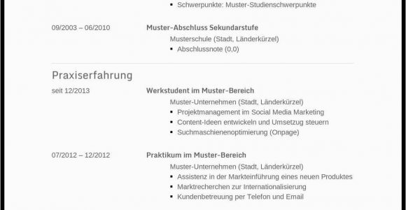 Lebenslauf Vorlage Xing Word Muster Vorlage Lebenslauf Schweiz Kostenlos Download Schüler
