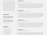 Lebenslauf Vorlagen Mac Pages Professional 1 Page Resume Template