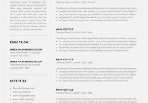 Lebenslauf Vorlagen Mac Pages Professional 1 Page Resume Template