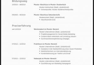 Lebenslauf Vorlagen Ohne Xing Muster Vorlage Lebenslauf Schweiz Kostenlos Download Schüler