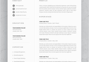 Lebenslauf Vorlagen Pages Mac Cv Template with Professional Resume Template for