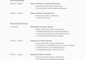 Modell Lebenslauf Deutsch Lebenslauf Muster Für Informatiker