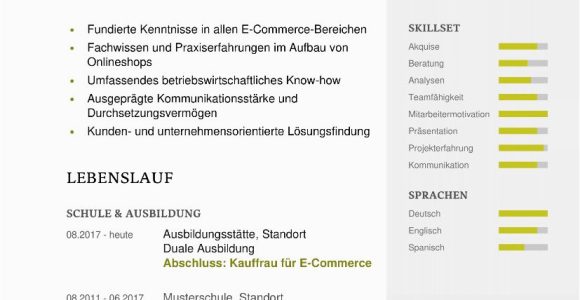 Moderne Lebenslauf Vorlage 2020 Lebenslauf Muster 48 Kostenlose Vorlagen Als Download