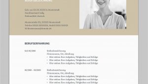Open Office Lebenslauf Design Bewerbung Napea Mit Lebenslauf Deutsch