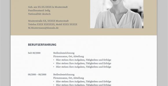 Open Office Lebenslauf Design Bewerbung Napea Mit Lebenslauf Deutsch