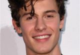 Shawn Mendes Lebenslauf Deutsch Shawn Mendes Starporträt News Bilder