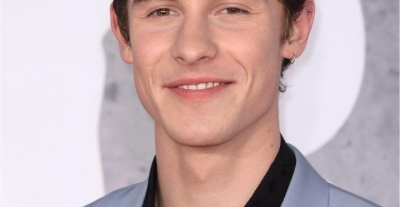 Shawn Mendes Lebenslauf Deutsch Shawn Mendes Steckbrief Bilder Und News