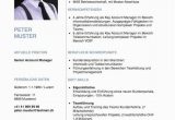 Vorlagen Für Einen Lebenslauf Kurzprofil Lebenslauf Vorlage Word