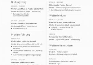 Wissenschaftlicher Lebenslauf Deutsch Lebenslauf Muster Für Ingenieur