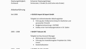 Word Lebenslauf Vorlagen Download Tabellarischer Lebenslauf Vorlage Word Lebenslauf Vorlagen Download Tabellarischer Lebenslauf Vorlage