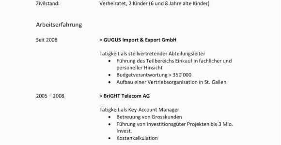 Word Lebenslauf Vorlagen Download Tabellarischer Lebenslauf Vorlage